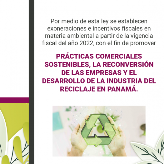 Incentivos Ambientales - Icaza, González-Ruiz & Alemán 2