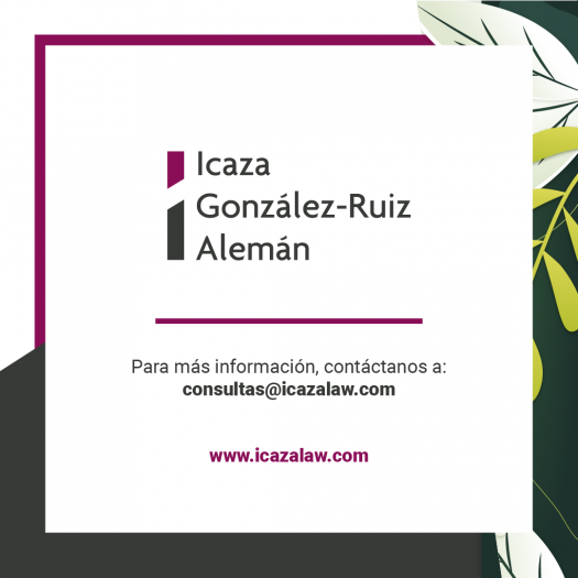 Incentivos Ambientales - Icaza, González-Ruiz & Alemán 7