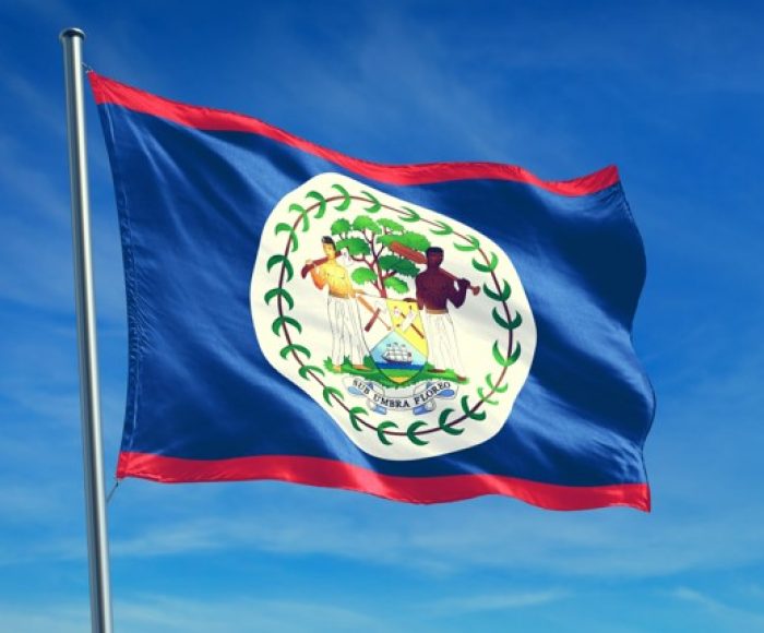 Belize flag fv