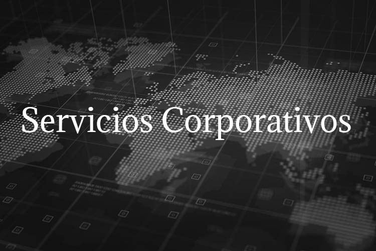 Servicios Corporativos